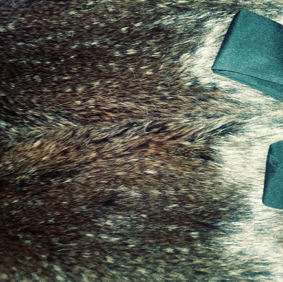 Ann Taylor fur vest M/L never worn with tags - Picture 5 of 6